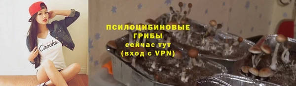 гидра Семикаракорск