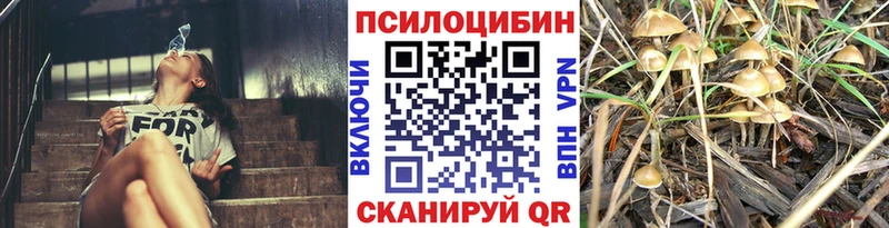 Купить  Екатеринбург  Галлюциногенные грибы Magic Shrooms 